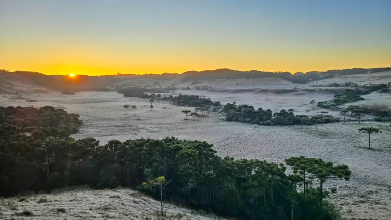 Geada histórica congela Santa Catarina