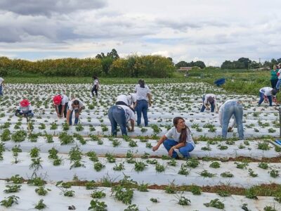 Mulheres do campo: 100 certificadas em Brazlândia