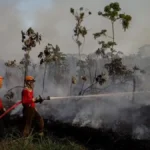 El Niño pode ser um dos maiores já registrados, diz EUA