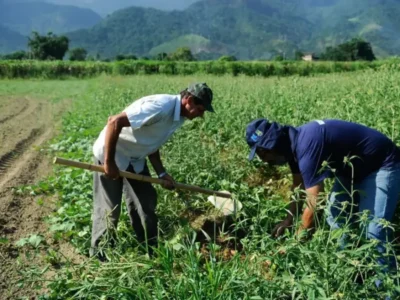 DF orienta regularização rural: saiba como solicitar