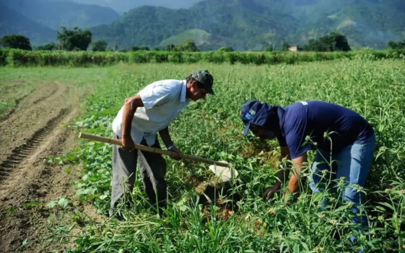 DF orienta regularização rural: saiba como solicitar
