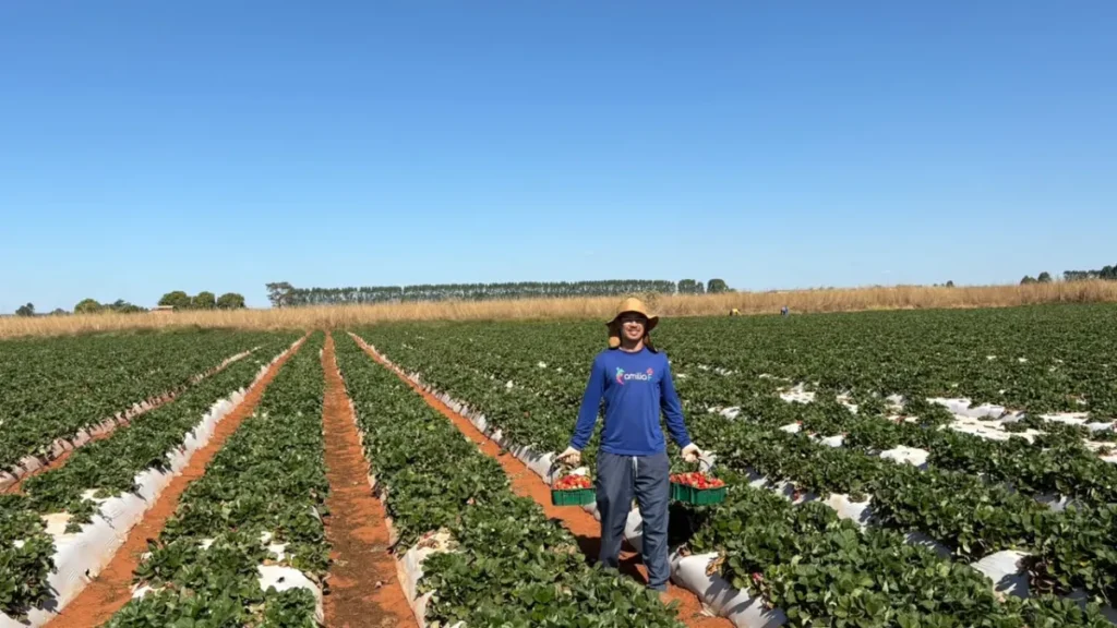 Agricultor familiar: o herói anônimo da mesa do brasiliense