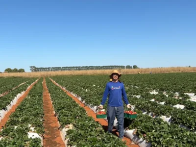 Agricultor familiar: o herói anônimo da mesa do brasiliense
