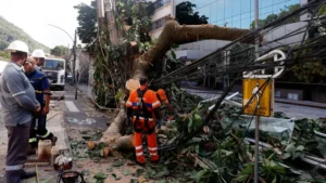 Rede elétrica resiliente exige altos investimentos